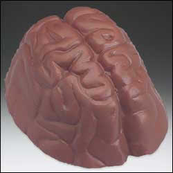 chocolate brain